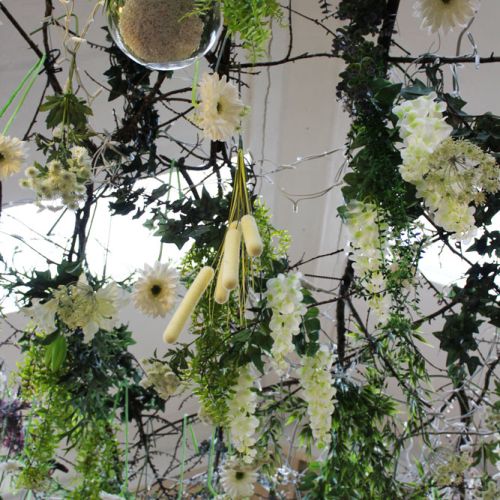 Plafond végétalisé blanc & vert